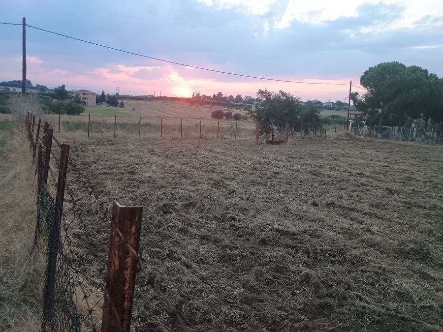 Photo 325327697