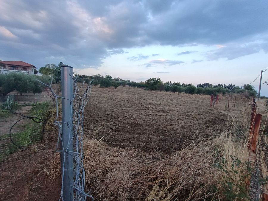Photo 325327703