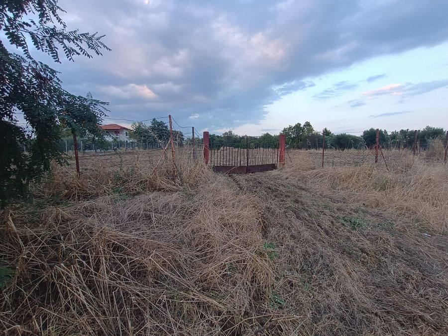 Photo 325327706