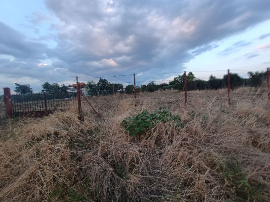 Photo 325327709