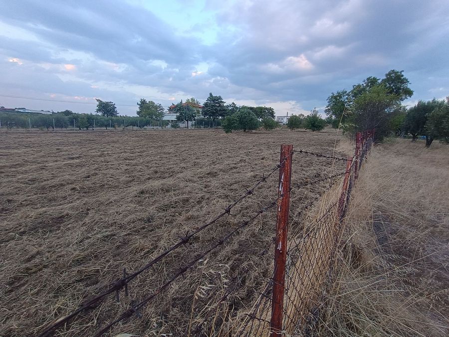 Photo 325327712