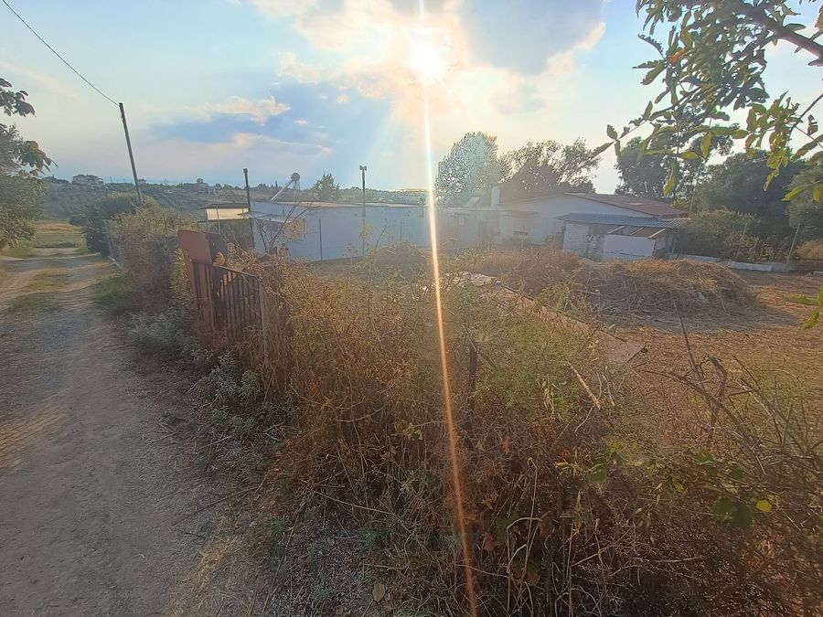 Photo 325414268