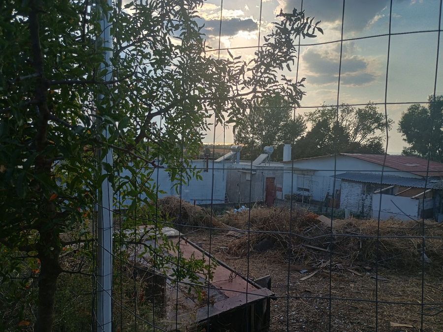 Photo 325414289