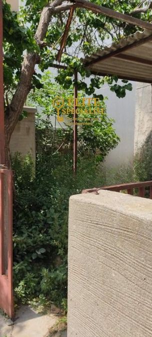 Photo 325451342