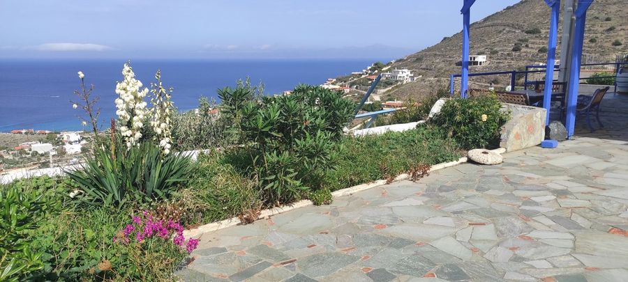 صورة فوتوغرافية 325617467