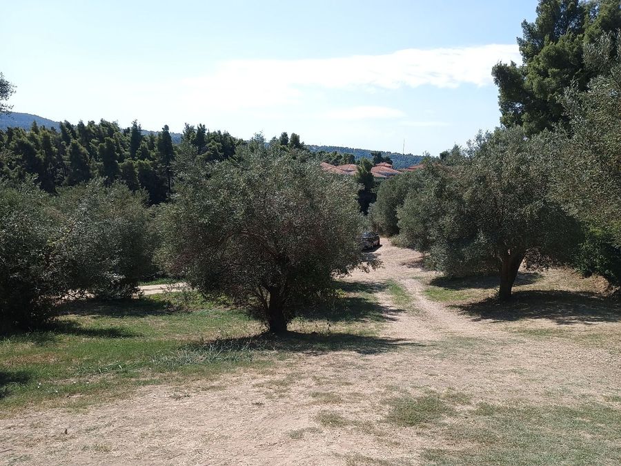 Photo 325639514