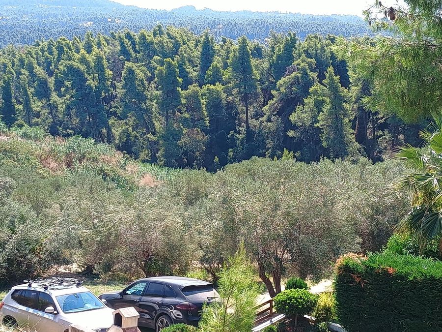Photo 325639517