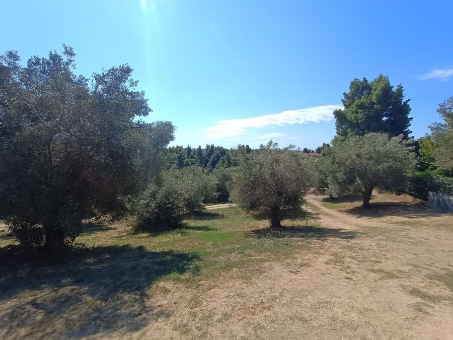 Photo 325639532