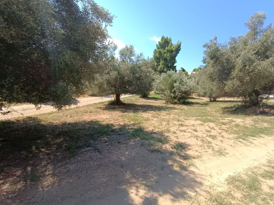 Photo 325639535