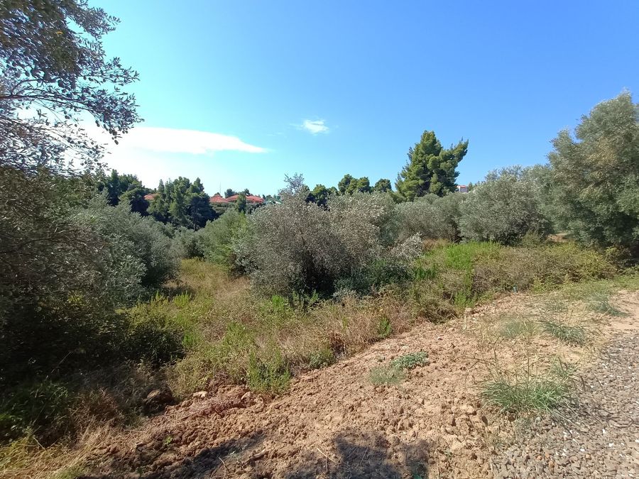 Photo 325644071