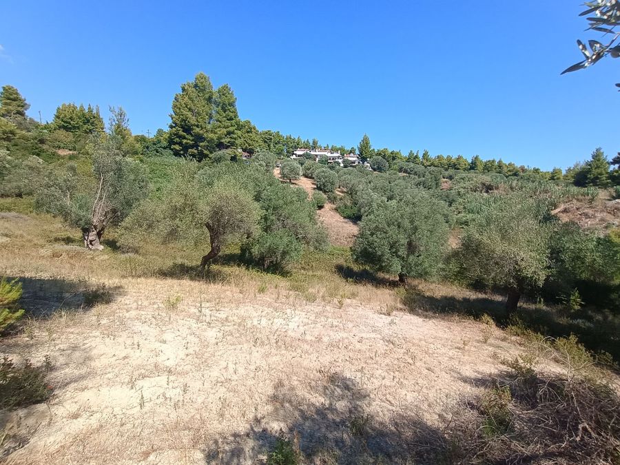Photo 325644101