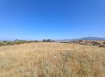 Photo 325822574