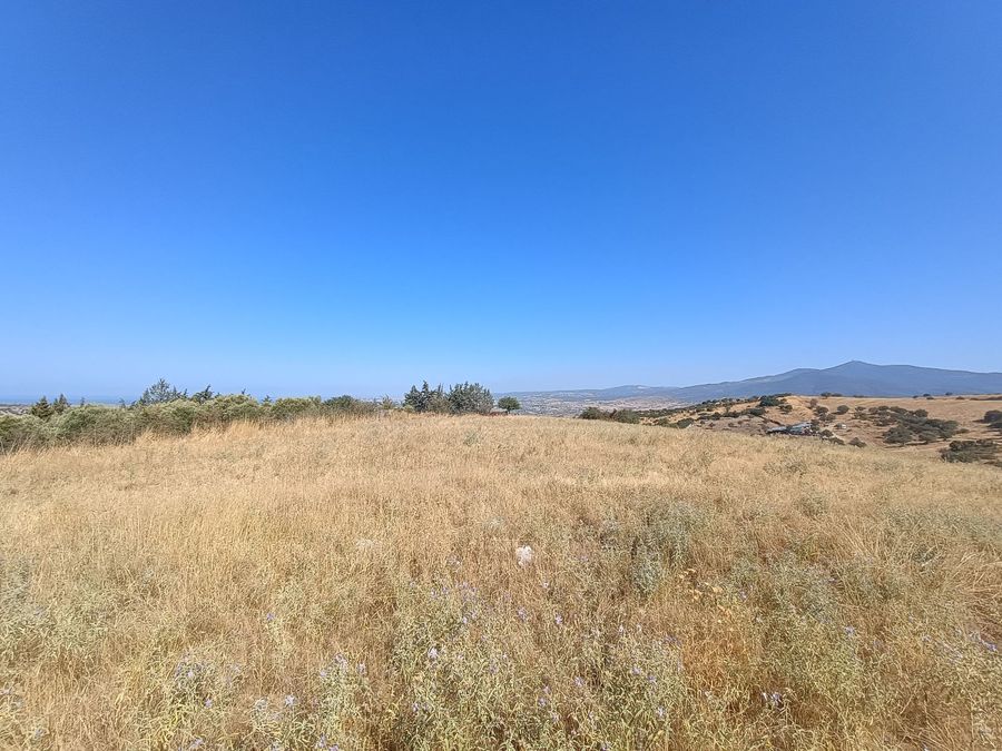 Photo 325822574