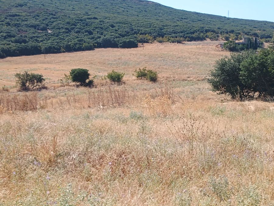 Photo 325822619