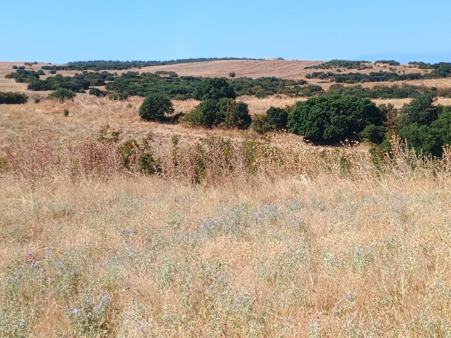 Photo 325822622