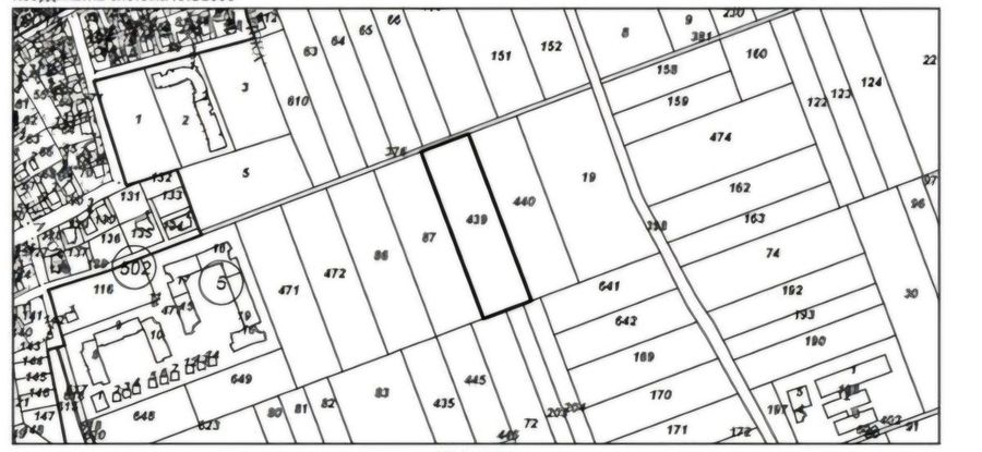 Снимка 325936040