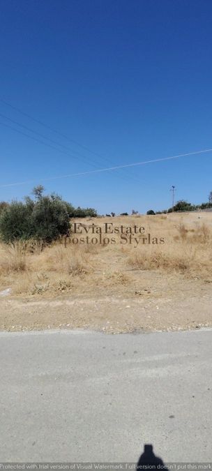 Photo 326009561