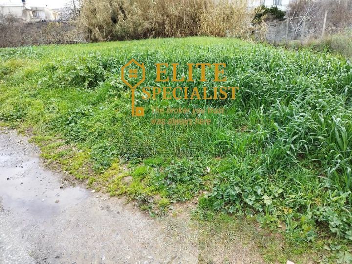 Photo 326256116
