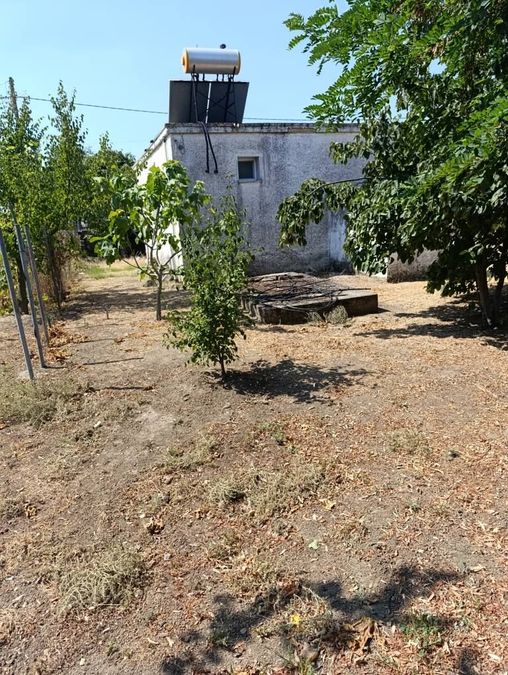Photo 326560352