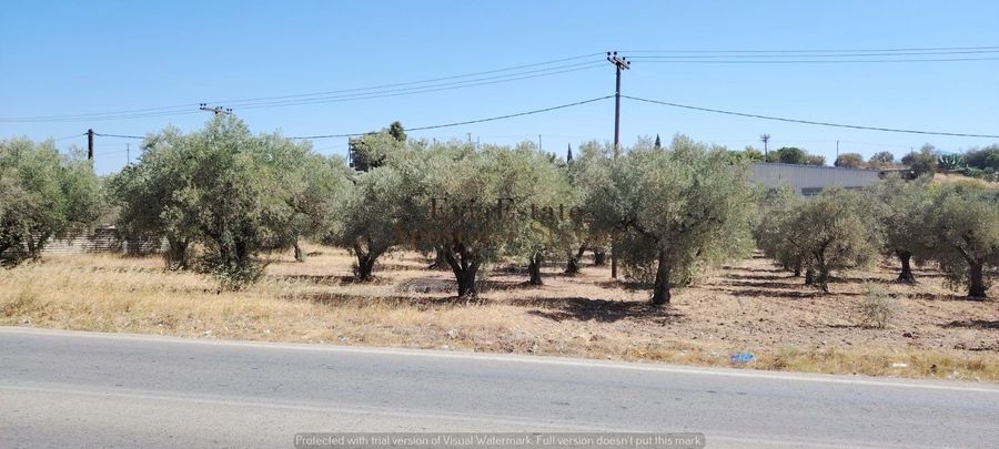 Photo 326654744