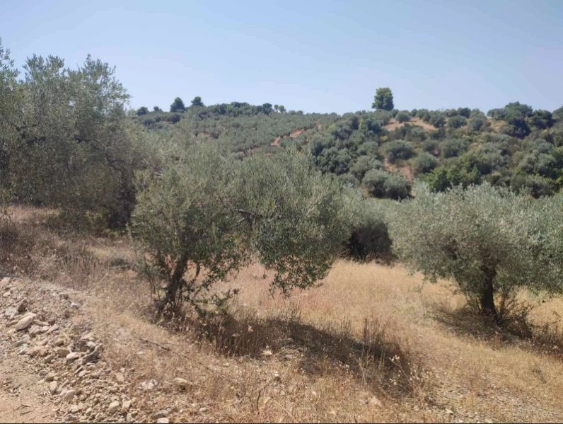 Photo 327085052
