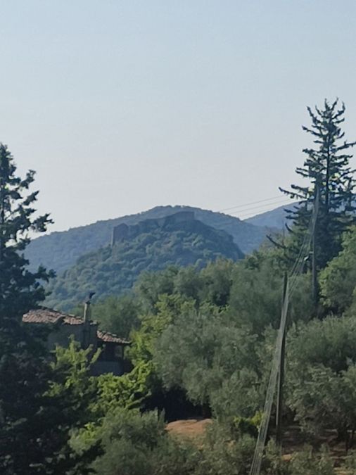 Photo 327304598