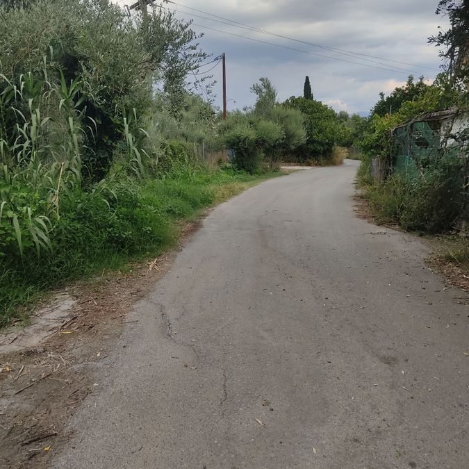 Photo 327331727