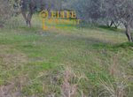 Photo 327517583