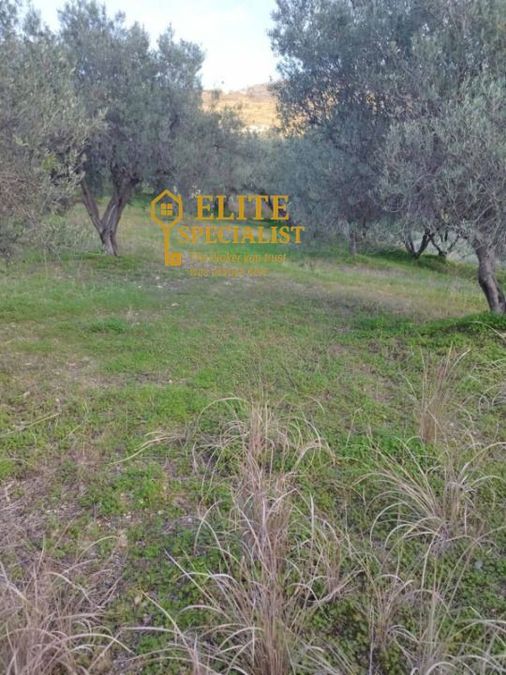 Photo 327517583