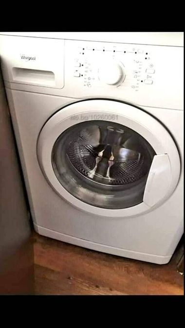 Снимка 327555656