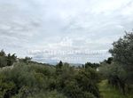 Photo 327604337