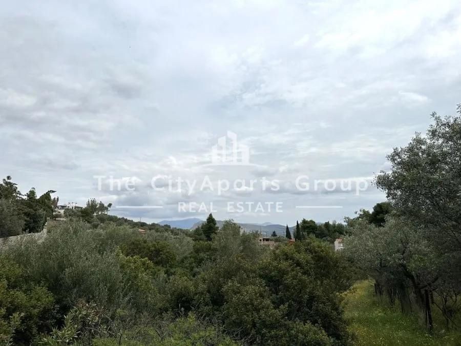 Photo 327604337