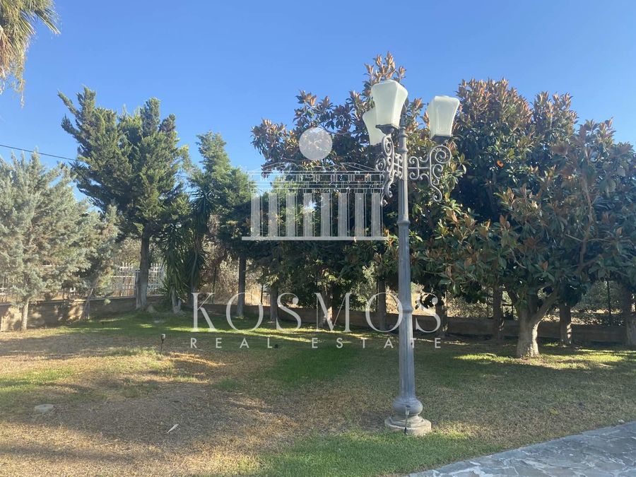 Photo 327934817