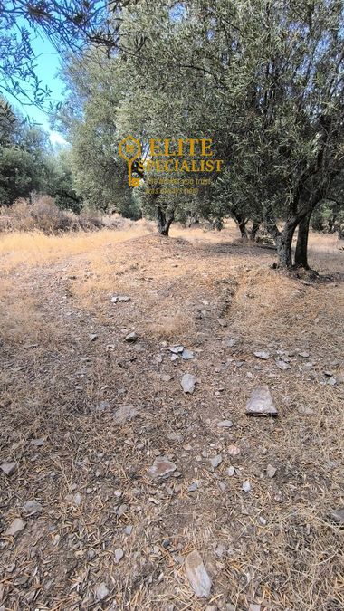 Photo 328205072