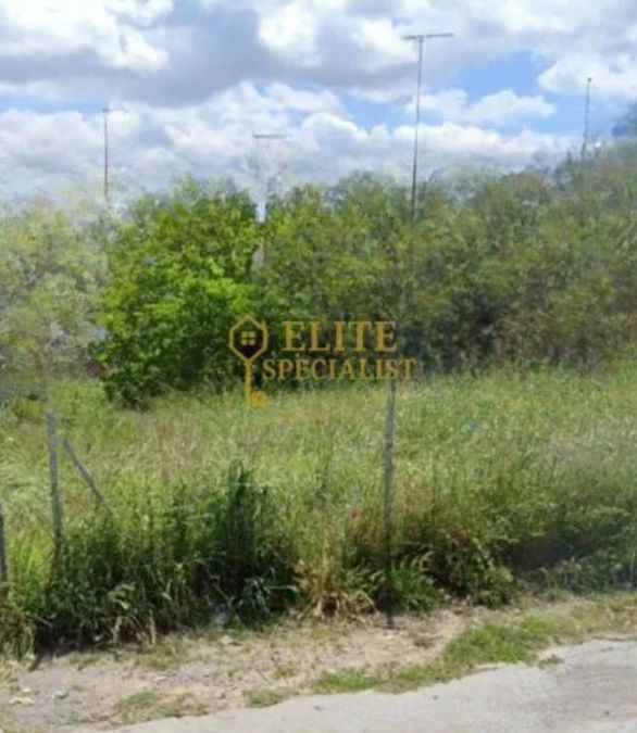 Photo 328205453