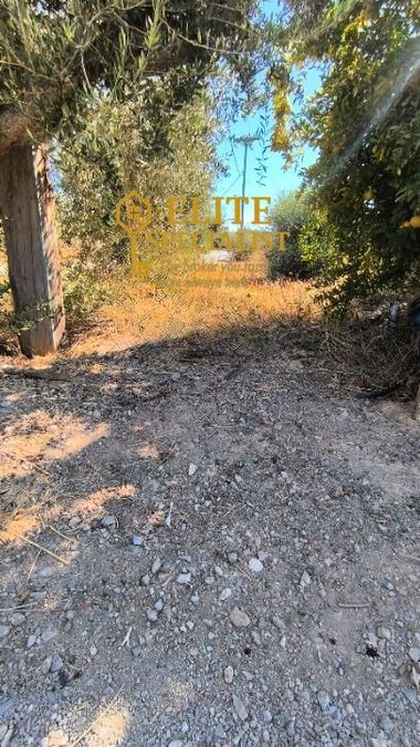Photo 328503404