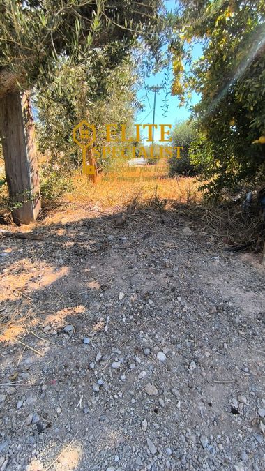 Photo 328503425