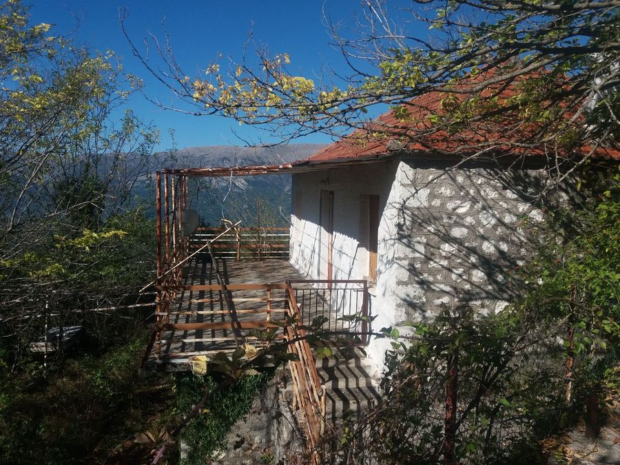 Photo 328543304