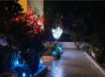 Photo 328700951