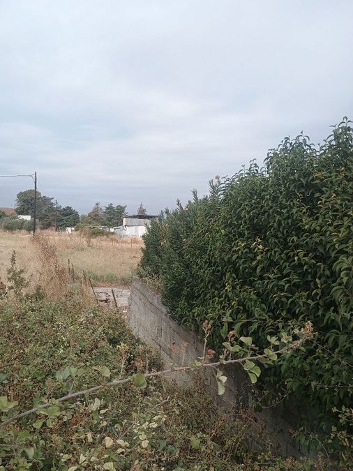 Photo 328928828