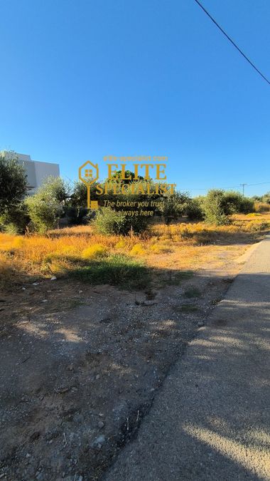 Photo 329173457