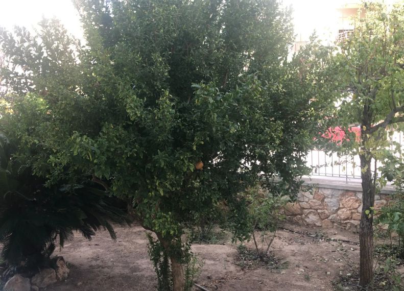 Photo 329234906