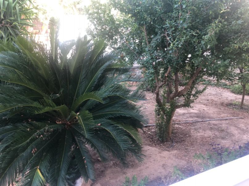 Photo 329234912