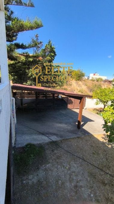 Photo 329282267