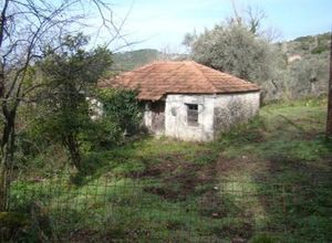 Μονοκατοικία προς πώληση Προδρόμι (Παραμυθιά) 50 τ.μ. 2 Υπνοδωμάτια