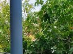 Photo 329554472
