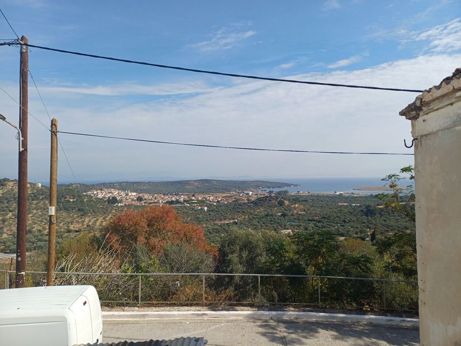 Photo 329711582