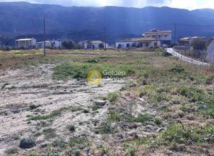 land plot for sale Xilokastro Kato Pitsa, 998 ㎡ image #4