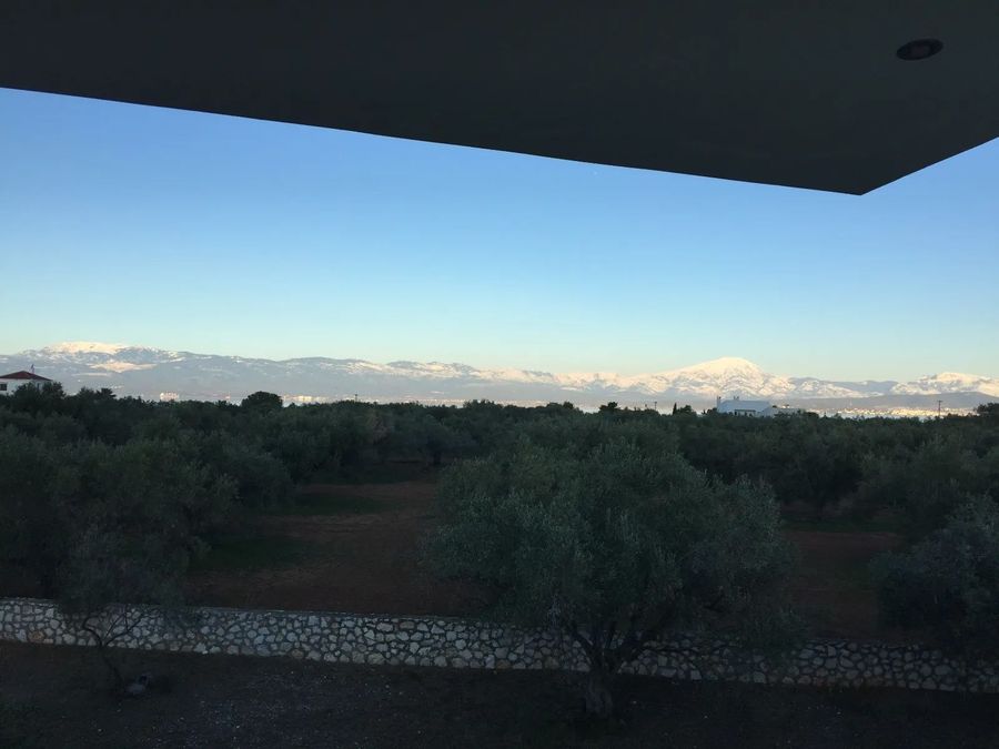 Photo 329919932