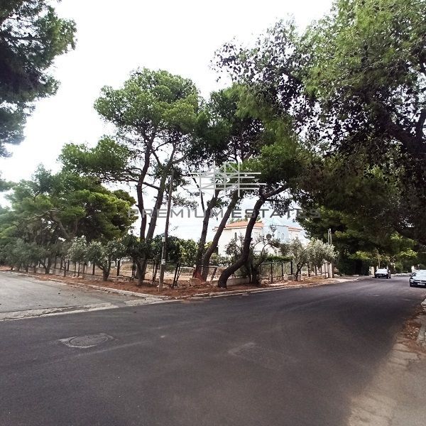 Photo 329973500